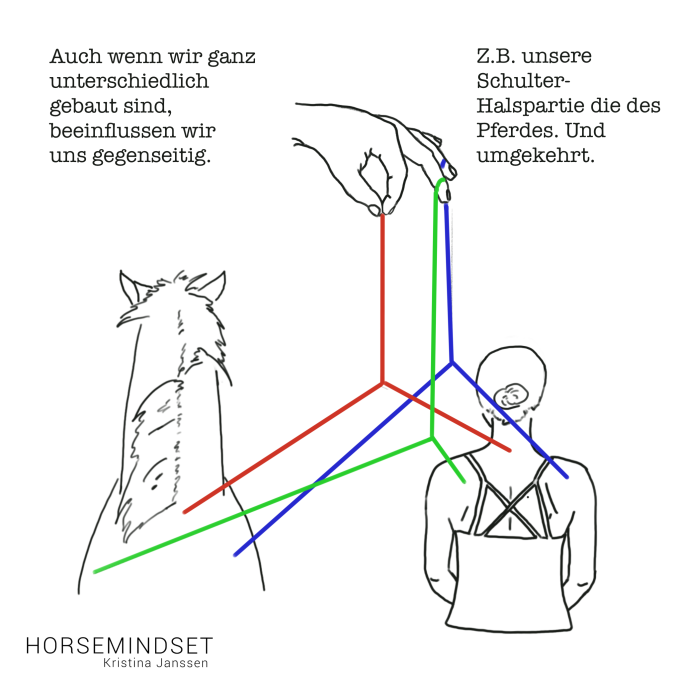 Reiter und Pferd beeinflussen sich gegenseitig.
